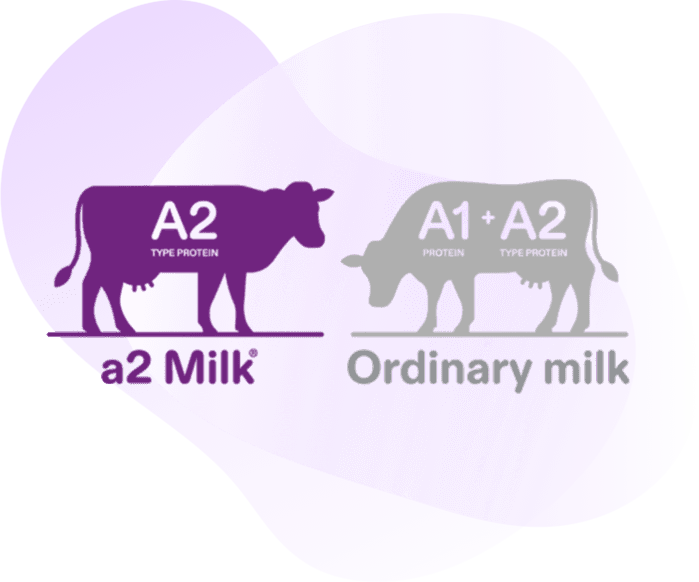 <h2><strong>What is the difference between A1 and A2-type proteins? </strong></h2>